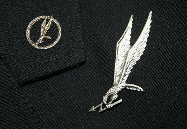 全球最神秘,最顶尖的特种部队——波兰雷鸣特种部队