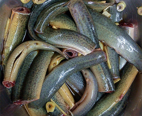 吃泥鳅到底去不去除内脏?转给家人看,网友直呼:明白了!