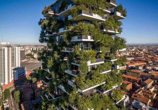 世界首座森林公寓由上万棵树建造一套两千万你愿意住吗