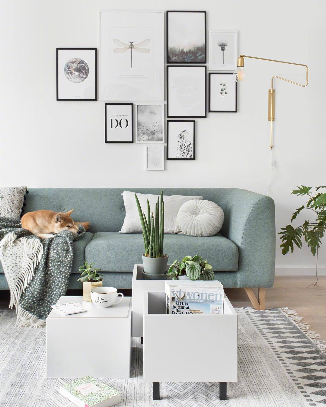 有柴犬有绿植的豆绿色家居,完全是理想型的!