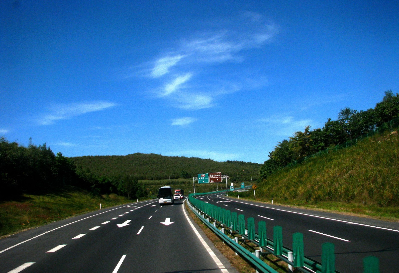 高速路上干此出格事这样的低头族是否应视作危险驾驶来惩处