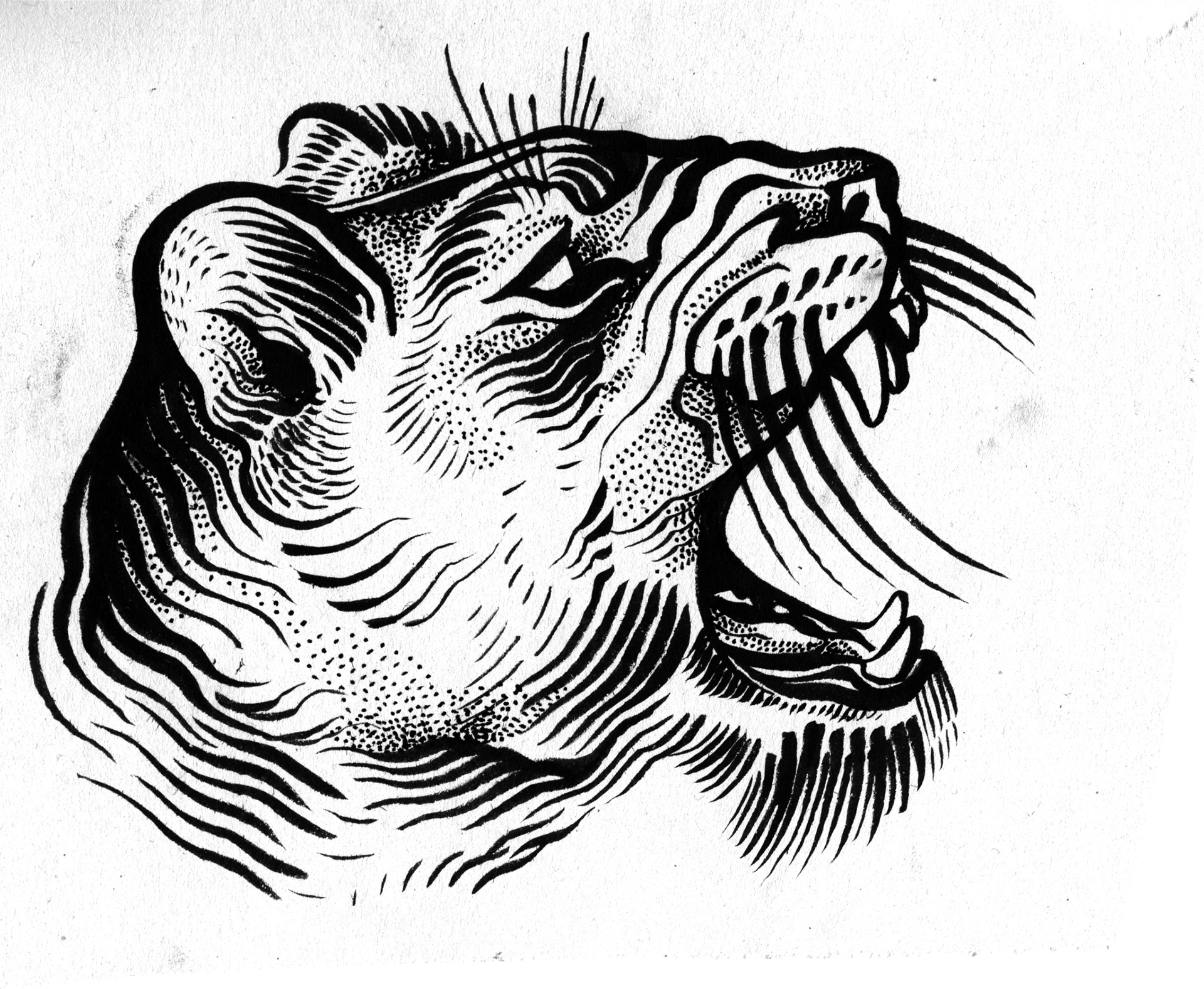 drawingillustrationgraphicdesign绘图插图图形设计