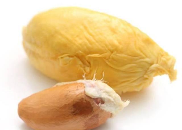 熊孩子把榴莲籽吐进花盆中一段时间后盆栽长出了小芽