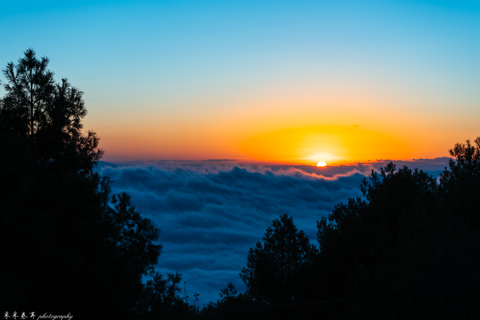 优雅的黑颈鹤 日出云海与村庄 念湖的唯美协奏曲