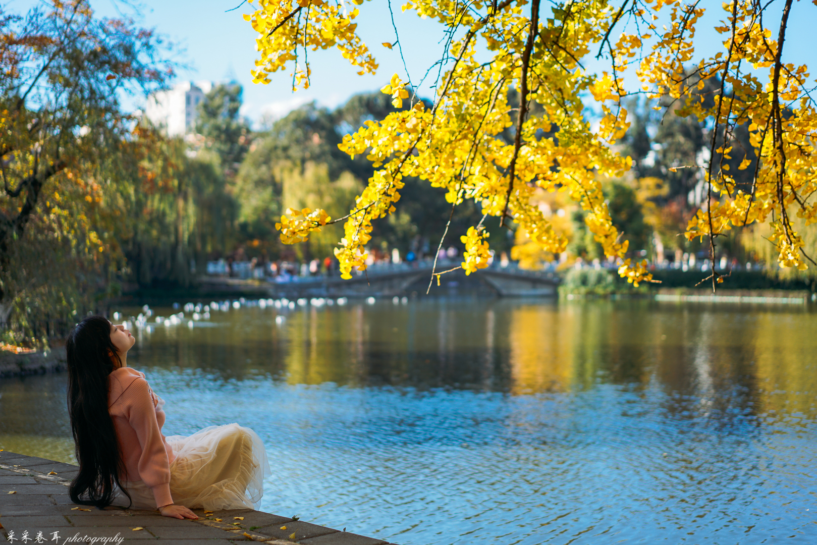 春城昆明的冬季美景 翠湖公园-云南大学-陆军讲武堂|翠湖公园|陆军讲武堂|春城_新浪新闻