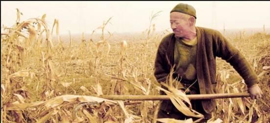 排行榜丨8部珍贵记录片, 浓缩了社会真实的一