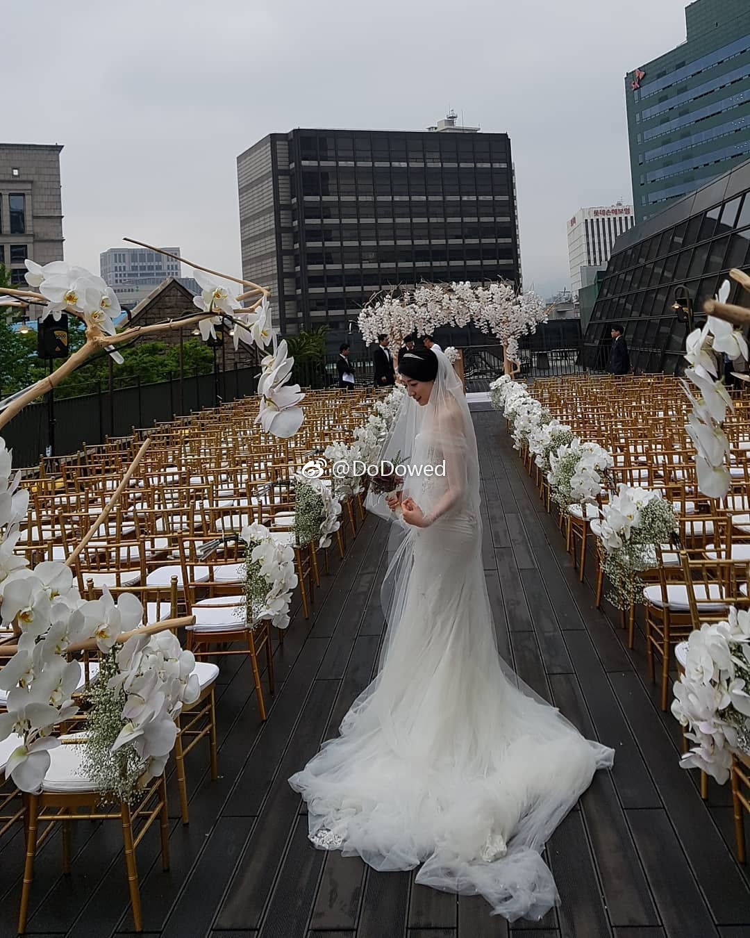 dodo学婚礼_新浪看点