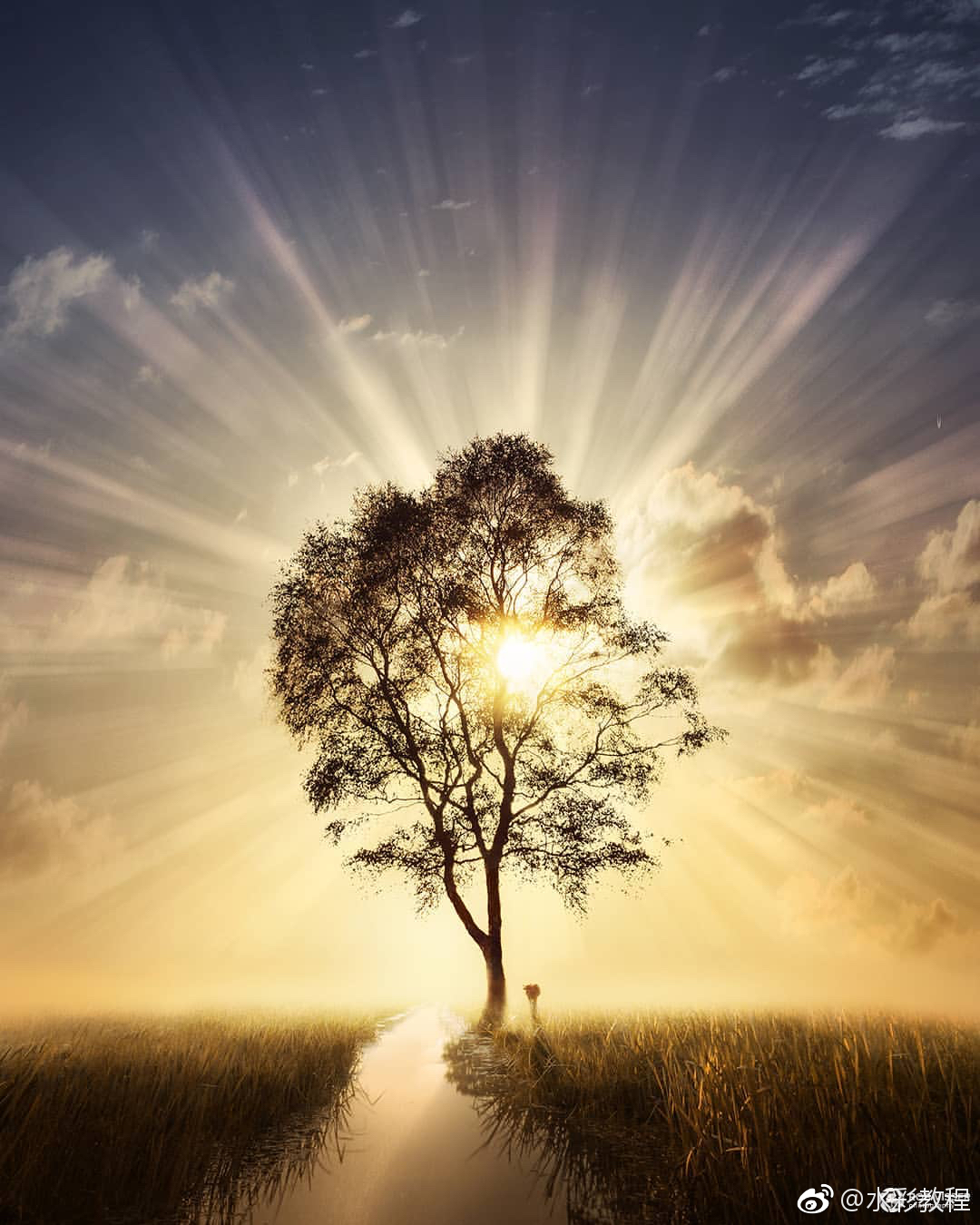 光与影的作品素材赶紧试试把它画下来byins