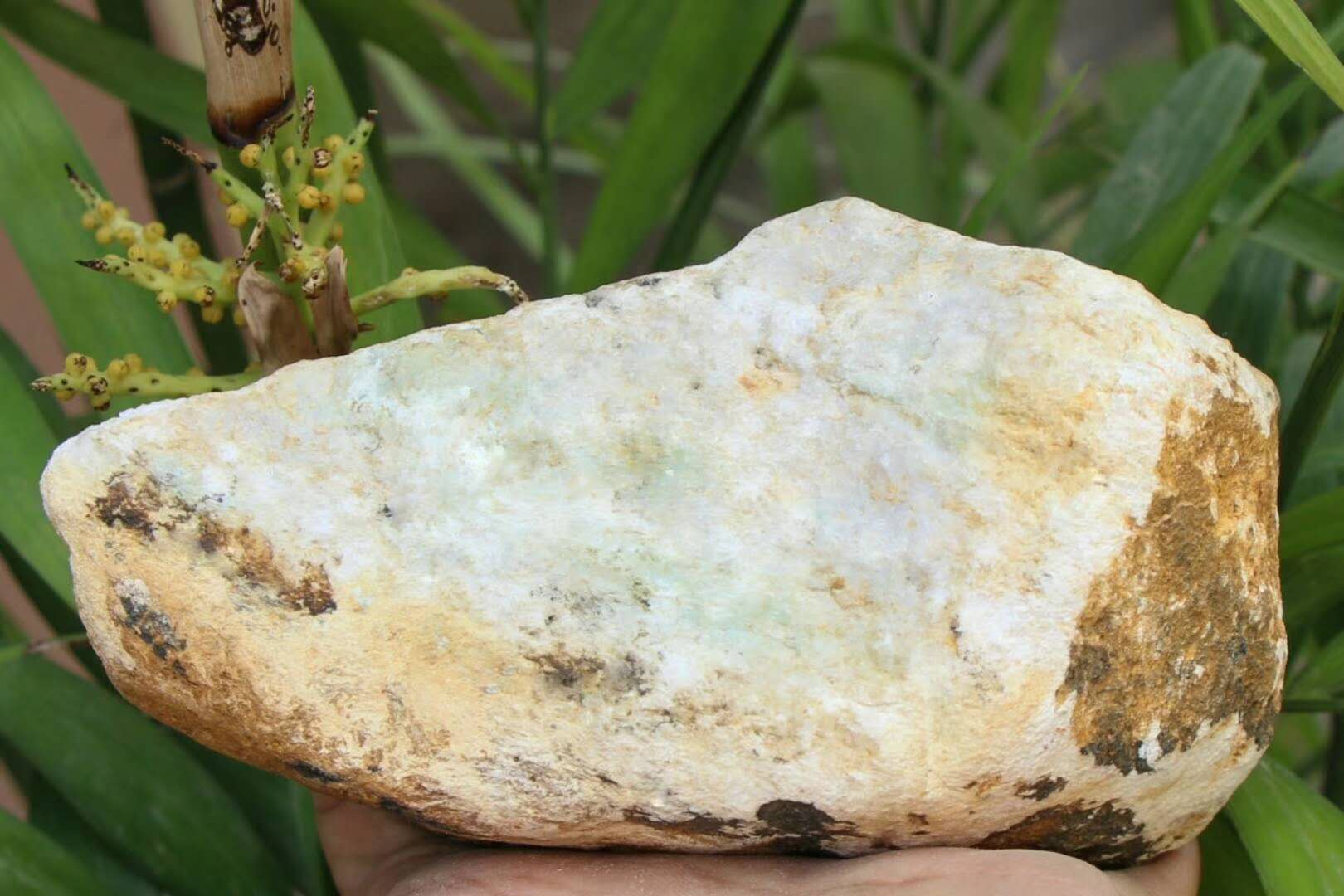 大爷4500买的翡翠原石,切出冰种紫罗兰,成品立马送给儿媳妇!