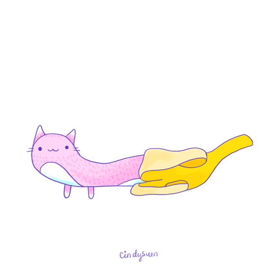 萌并魔性着的小猫cindysuen