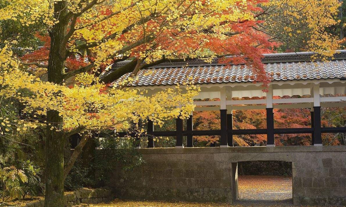 南禅寺依山而建, 气势巍峨, 是京都占地面积最大的寺庙