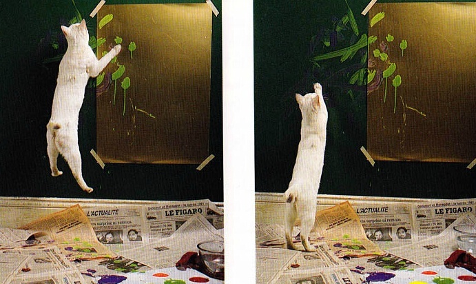 艺术喵 67676767艺术喵 67676767艺术