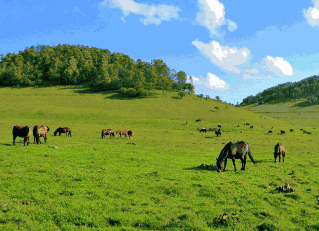 端午三天假还没去耍陕西境内这些地方随时拎包出发