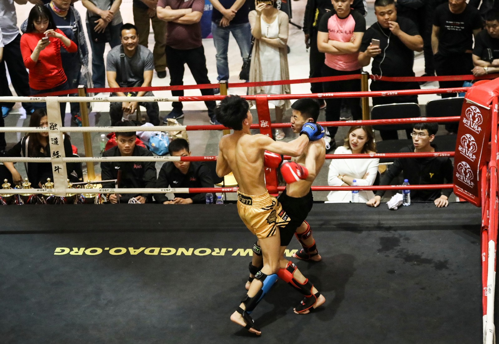 武林风沈阳"开打"拳如雨下血汗搏击_新浪看点