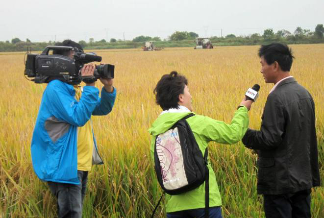 央视主持人海霞满面笑容,到田间地头采访农民,让人感到亲切_新浪看点