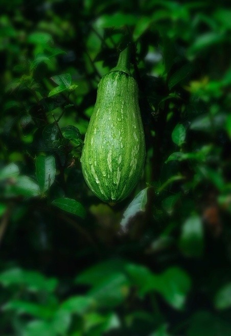 一卧山城散百忧.哀时王粲怯登楼