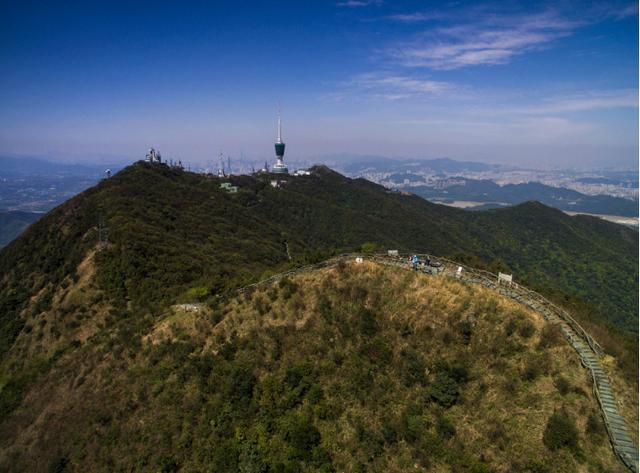 深圳大小梧桐山深圳大小南山深圳海上世界这个暑假去看看吧