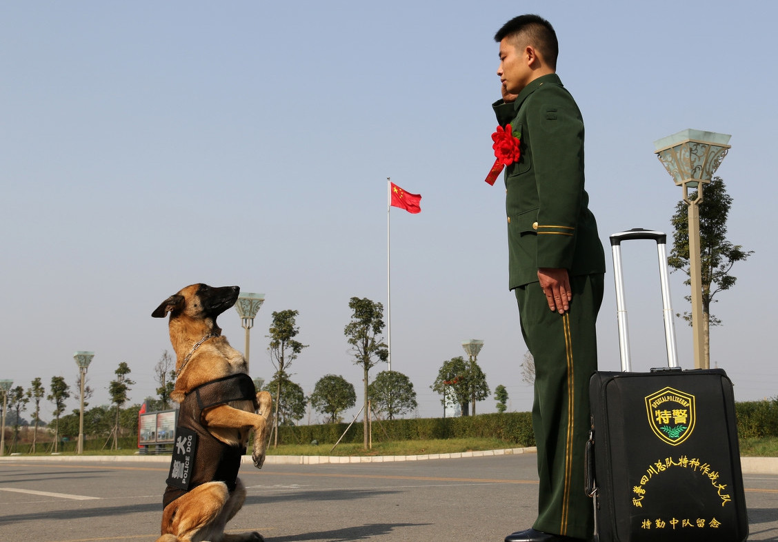与军犬分别瞬间催泪互敬军礼中心语求求你不要走