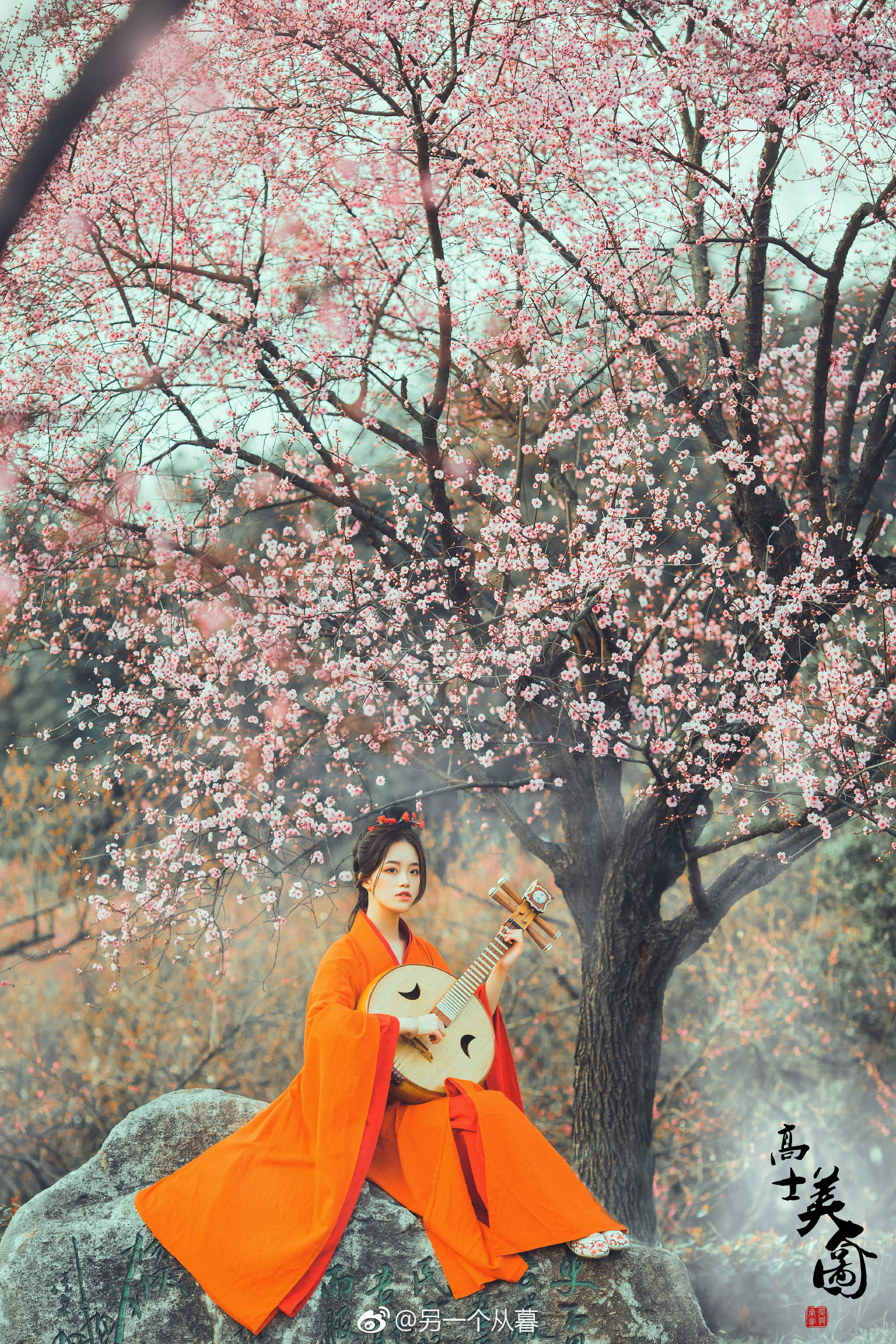 雪满山中高士卧,月明林下美人来. 出镜