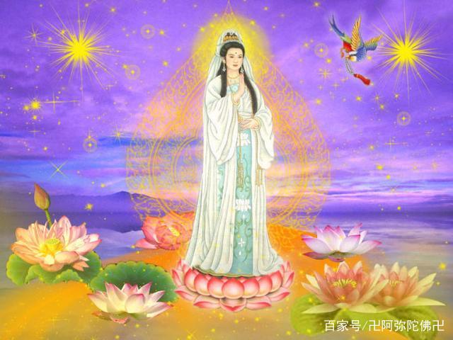 菩萨|观音菩萨|观音_新浪新闻