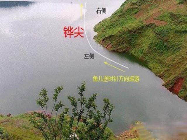 夏季野钓,隔壁老王偷偷教我这8个找钓位秘诀,我天天爆护|鱼|鲤鱼|钓鱼