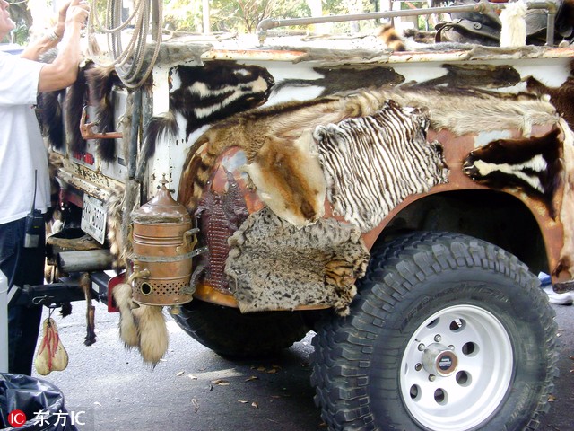 太可怕了50多具动物死尸堆出一辆鬼车给你你敢坐