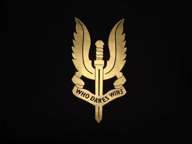 sas狙击手用重机枪远程狙杀达伊什指挥官