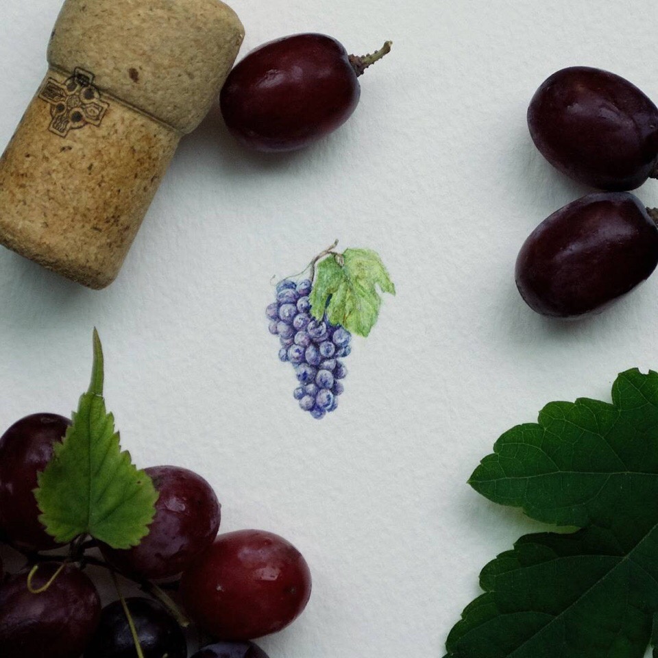 漂亮可爱的迷你水彩画 | 美国宾夕法尼亚州的艺术家 rachel beltz