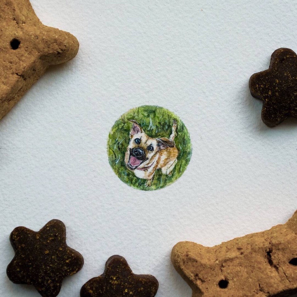 漂亮可爱的迷你水彩画 | 美国宾夕法尼亚州的艺术家 rachel beltz