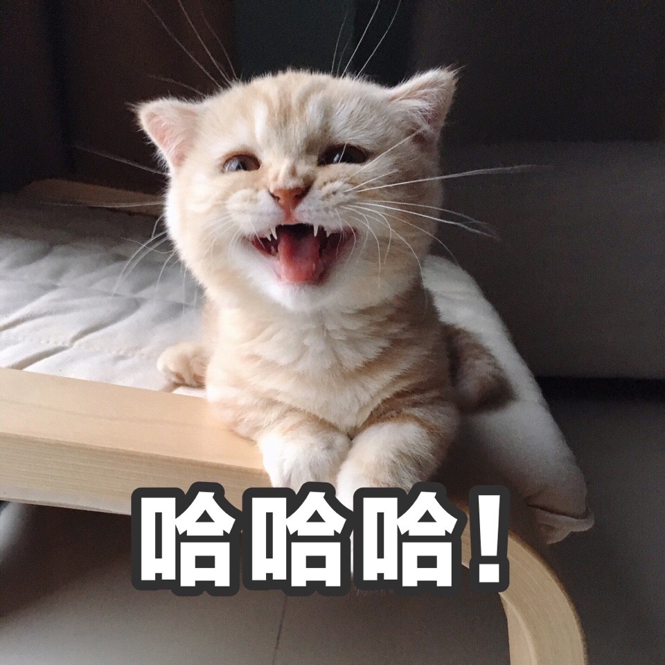 288:学到想吐!哦!只要速度够快,寂寞就追不上我!低头认错