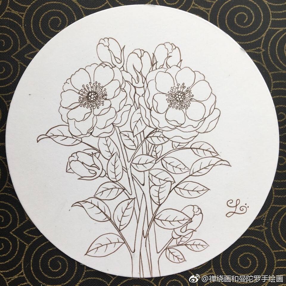 小清新花卉线稿水彩马克笔