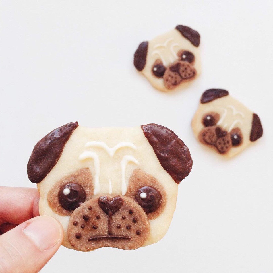 萌掉你门牙的动物饼干