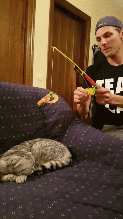 406_720竖版 竖屏gif 动态图 动图