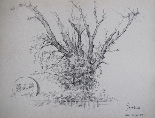 银杏小雪松感谢收看,阳阳说画致力于为您呈现精美画卷.