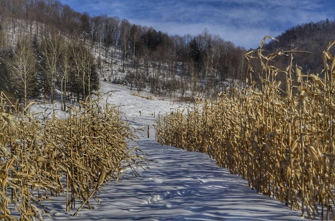 在雪谷感受纯正东北风是怎样一种体验!(夏天看这个是不是很解馋?