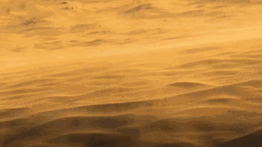 534_300gif 动态图 动图