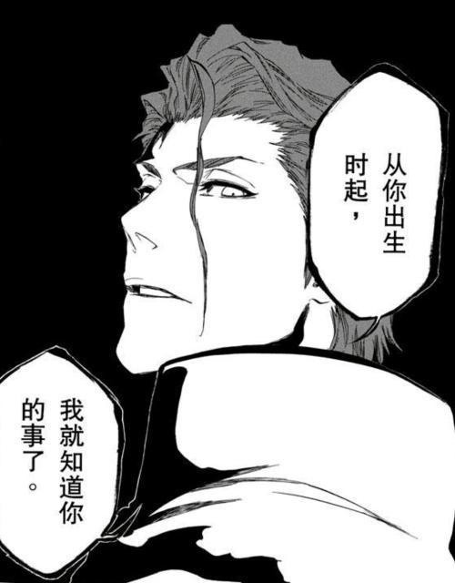 死神蓝染的情报来源之谜