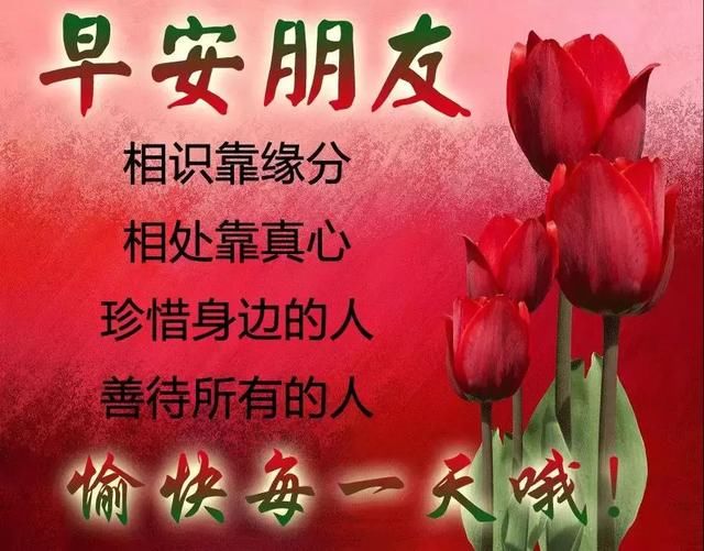 中午好!美美的祝福问候gif动态图片送给好朋友们|问候|要则|痛苦_新浪新闻