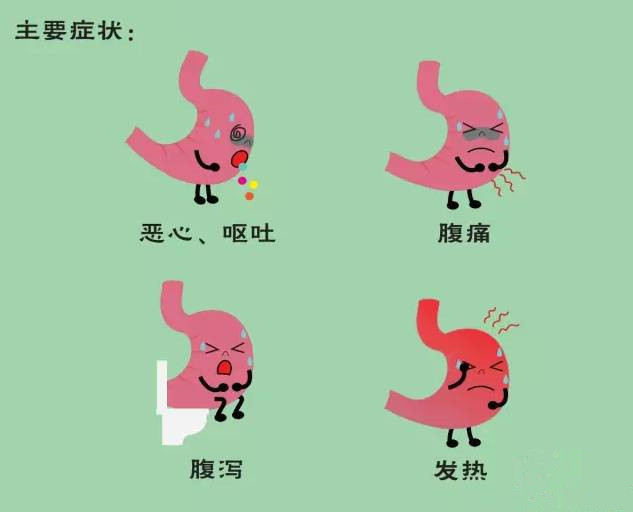 夏季,警惕急性胃肠炎的危险信号,避免悲剧发生