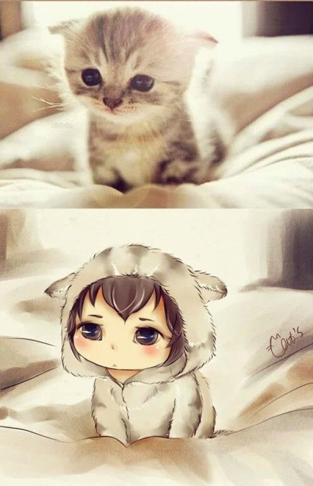 一日吸猫终身想猫萌你一脸血的猫咪拟人图快来一起吸猫吧