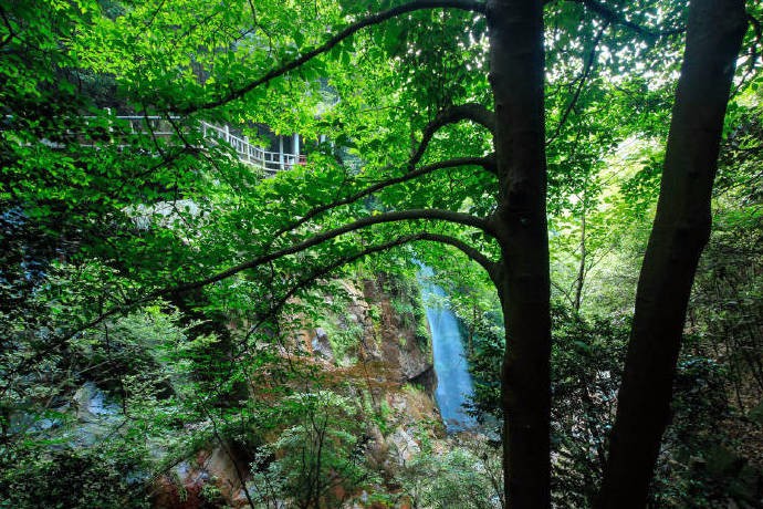 松竹幽深夏清凉,栈道弯曲上山岗