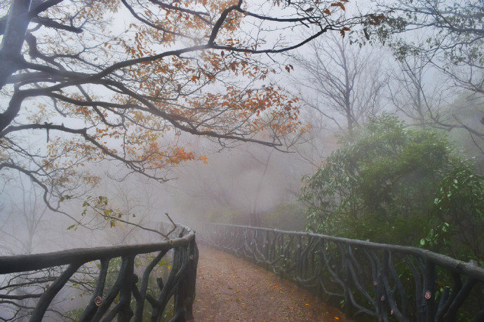 细雨朦胧小石桥落花流水任逍遥