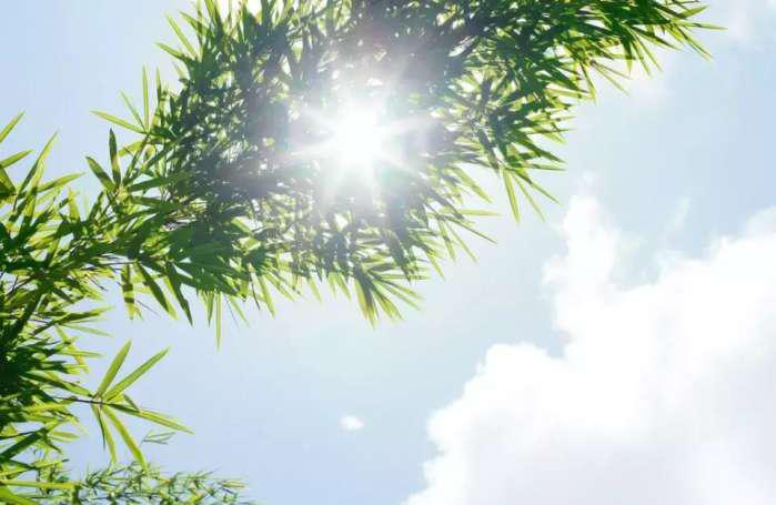 每一天, 带着阳光和自信行走在路上