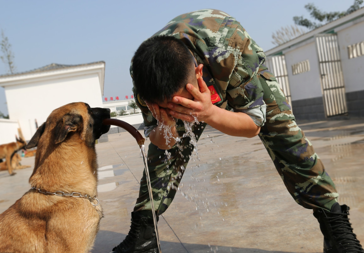 与军犬分别瞬间催泪互敬军礼中心语求求你不要走