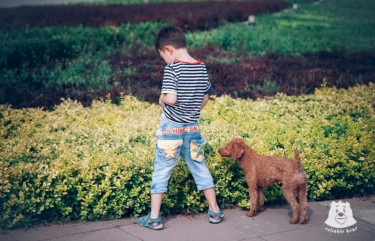 摄影师抓拍到的孩子与小动物们的温情瞬间