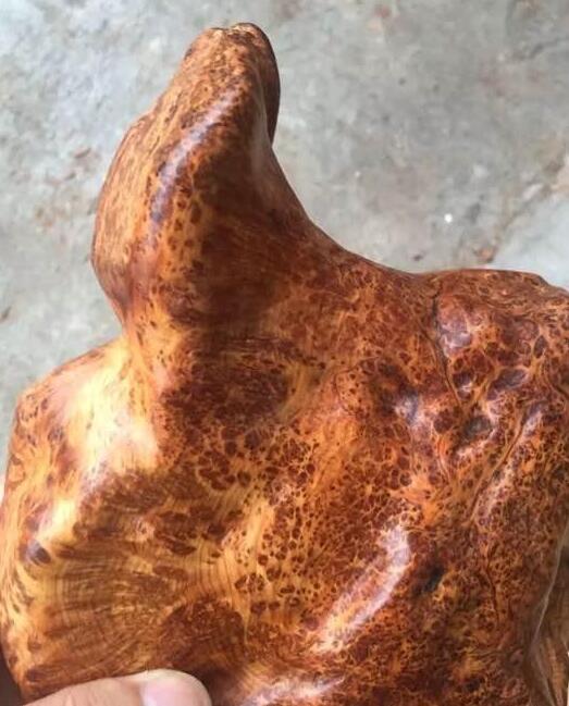 男子发现一"毛木块",花10块钱购买,可切开之后却很苦恼