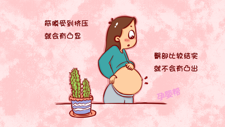 肚脐|染色体|肚子_新浪新闻