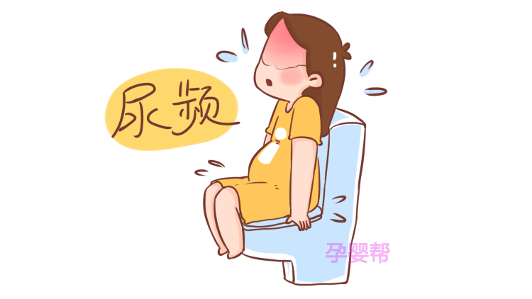 孕期的这个生理需求不要忍着,对自己和胎儿都有好处其实,孕妇出现尿频