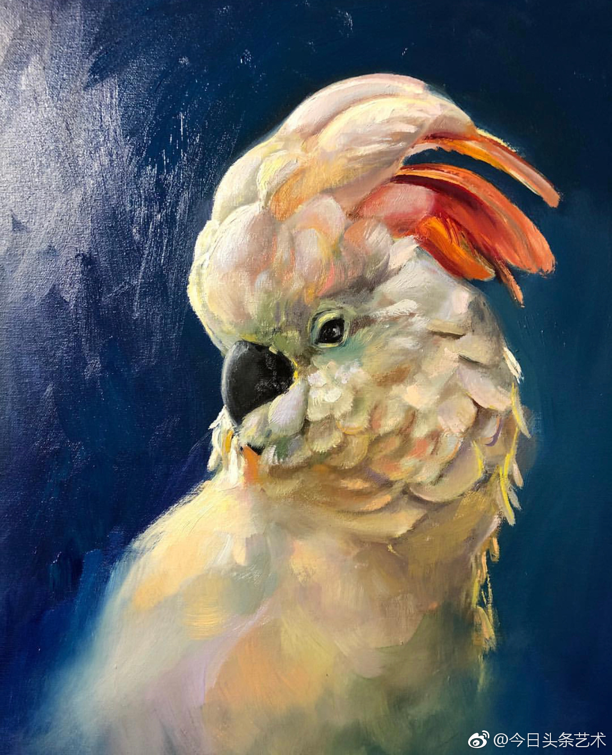 野生动物画家sauleseja小动物油画作品