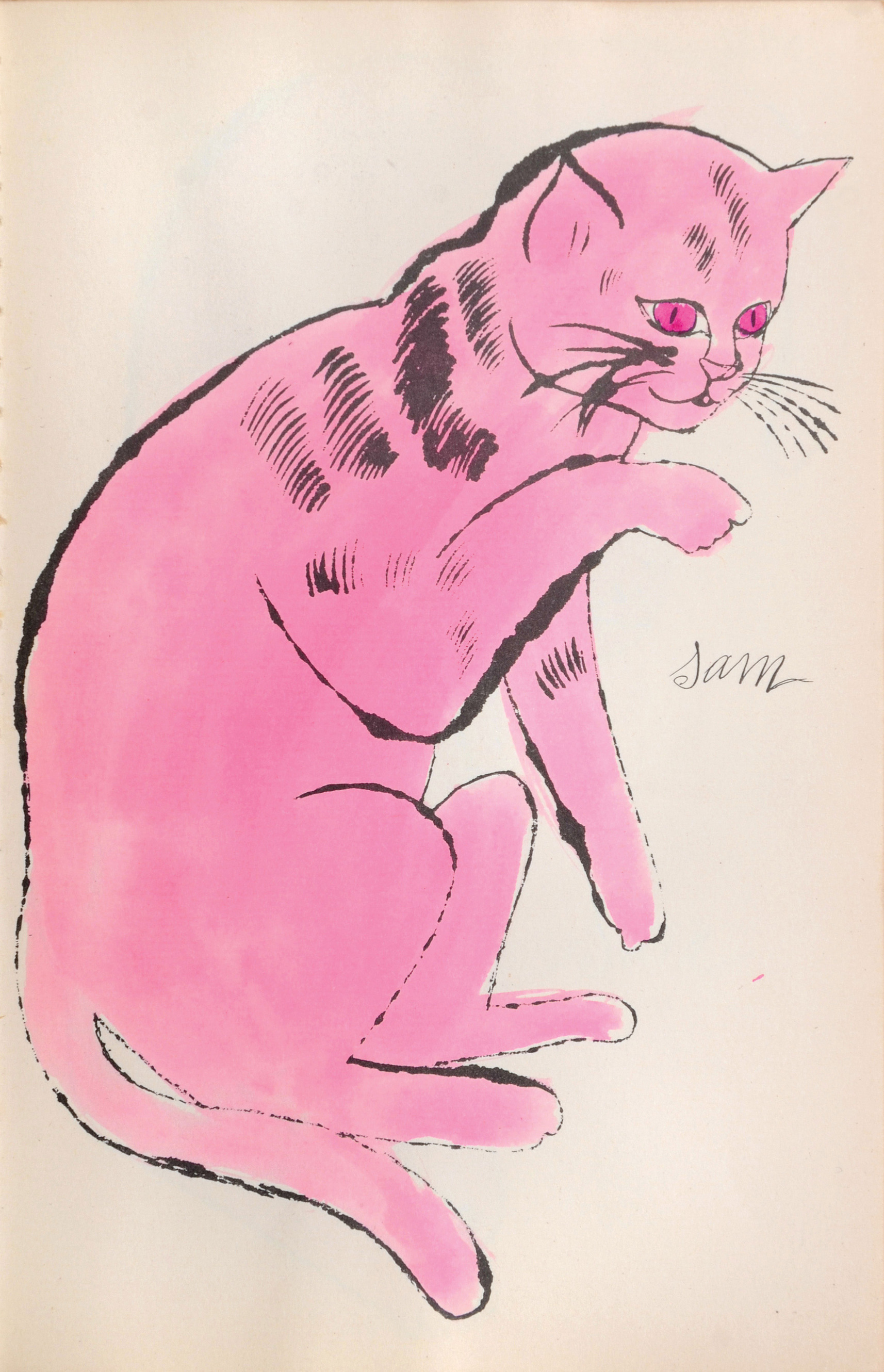 笔下的猫咪 cats named sam